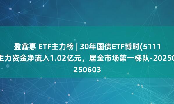 盈鑫惠 ETF主力榜 | 30年国债ETF博时(511130)主力资金净流入1.02亿元，居全市场第一梯队-20250603