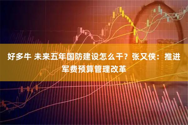好多牛 未来五年国防建设怎么干?张又侠:推进军费预算管理改革