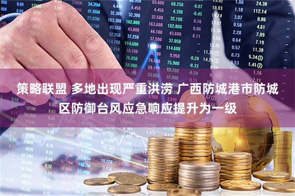 策略联盟 多地出现严重洪涝 广西防城港市防城区防御台风应急响应提升为一级